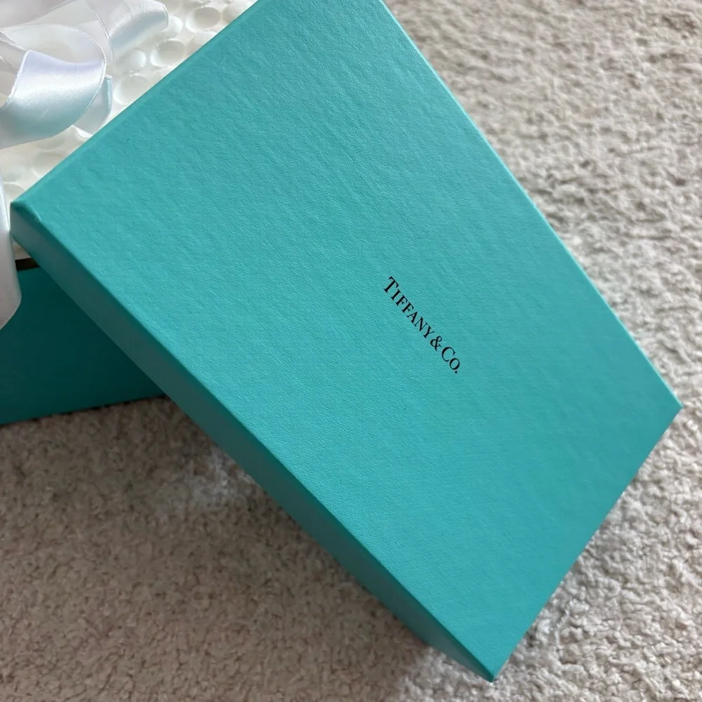Tiffany & Co. Robin’s Egg Blue Gift Box with White Ribbon